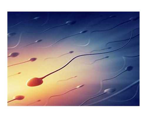 成都砂舞贴吧，成都砂舞